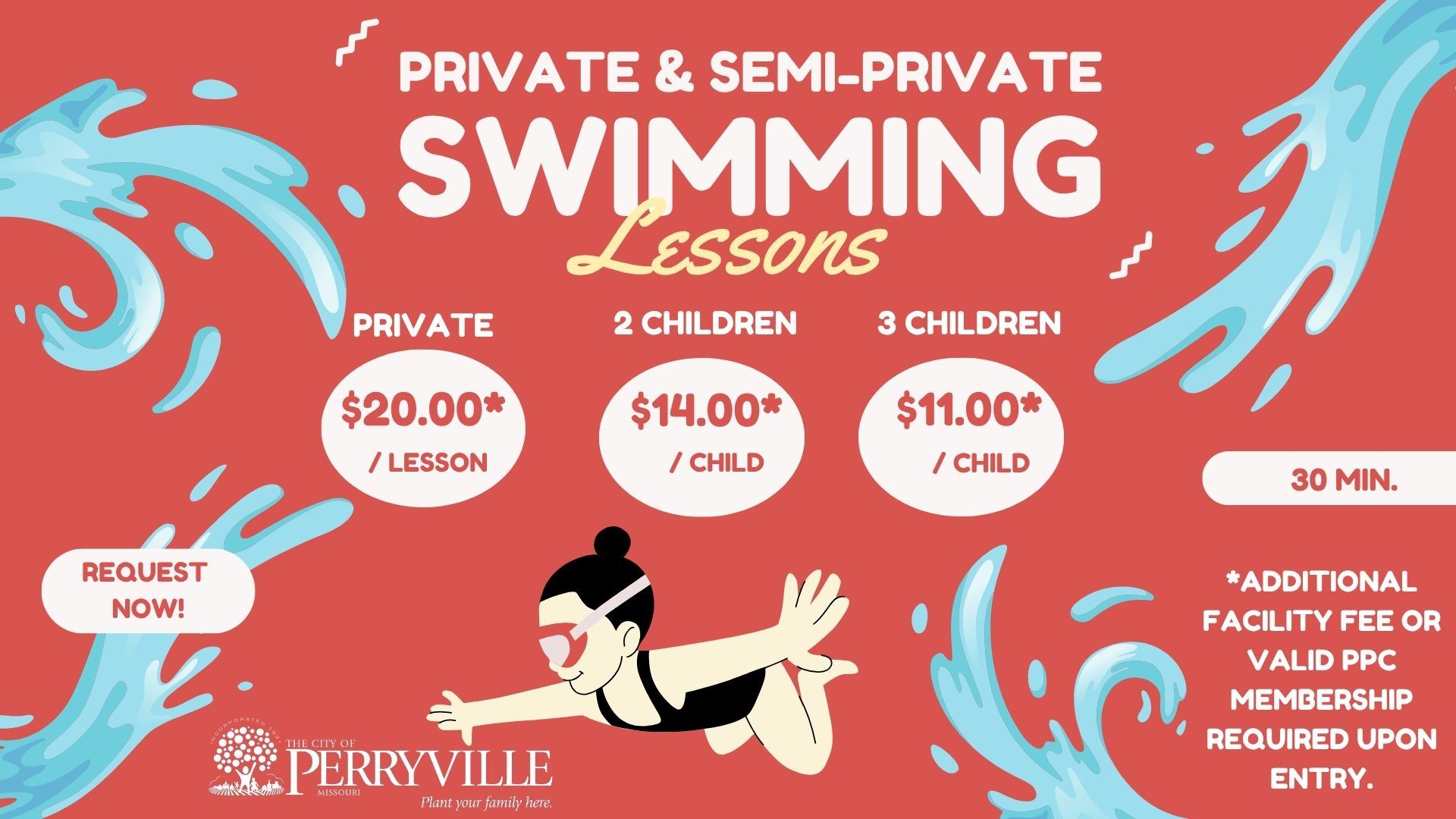 Private Lesson Website